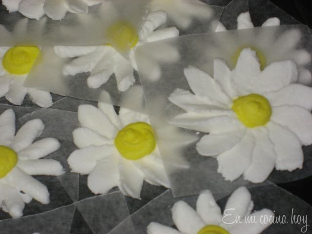 Mas flores del curso Wilton 2