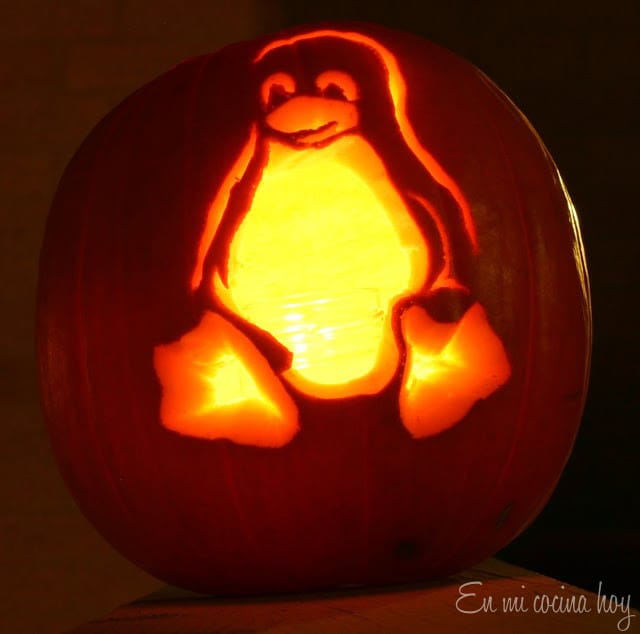 Zapallos tallados para Halloween