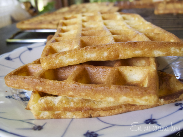 Waffles estilo belga