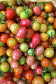 Huerto en casa: Como cultivar y plantar tomates