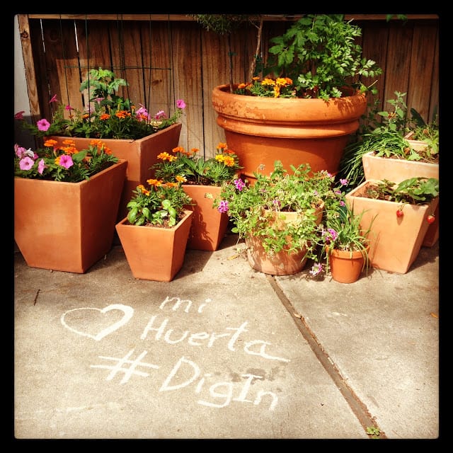 Consejos finales y otros proyectos