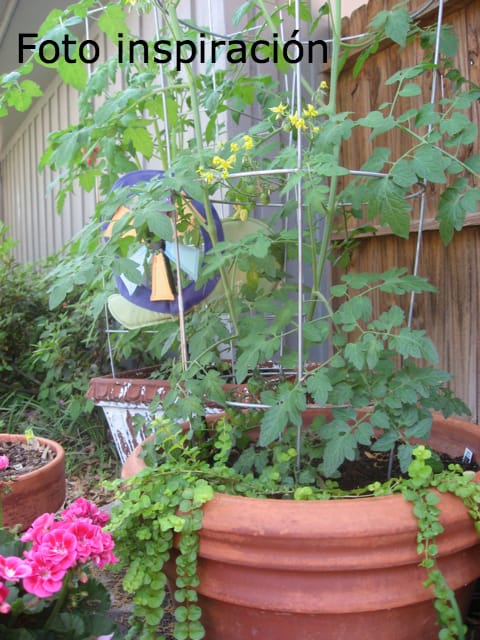 Como planear una mini-huerta en macetas