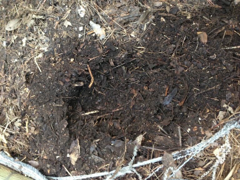 Como hacer compost o tierra de hoja orgánica