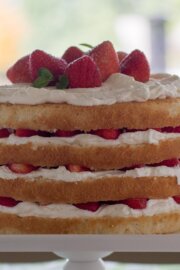 Vanilla Genoise Cake