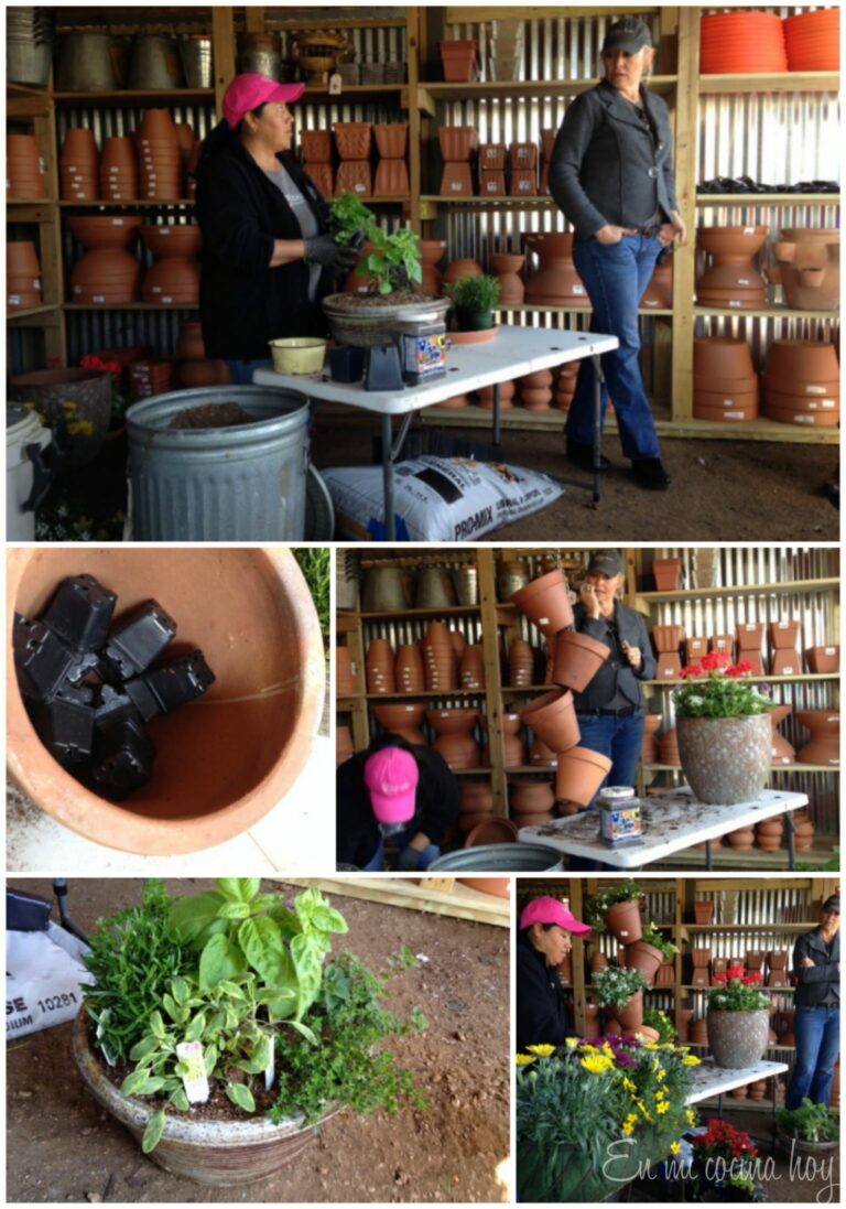 como plantar maceteros