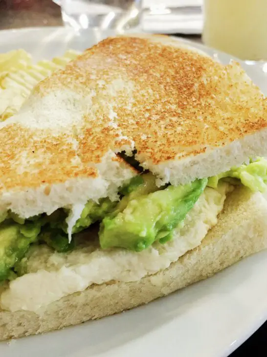 Ave palta, sandwich chileno