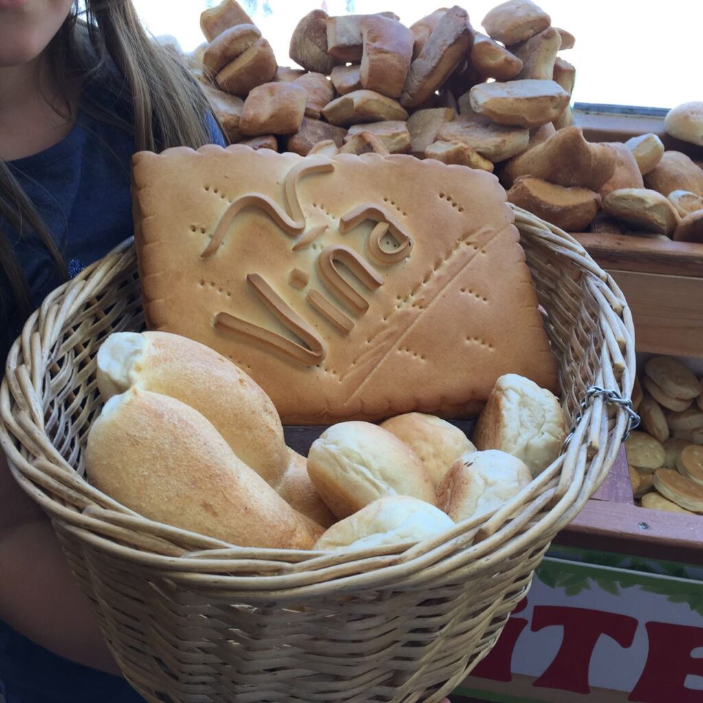 Colizas pan fresco