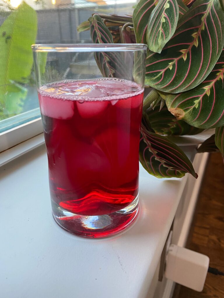 Agua fresca de Jamaica